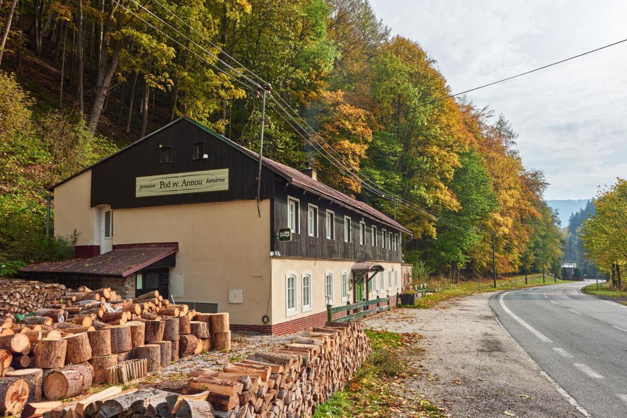 Pod Svatou Annou - Penzion A Rizkovna Horní Maršov Buitenkant foto